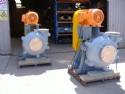 Warman 8/6 Pumps   PE9